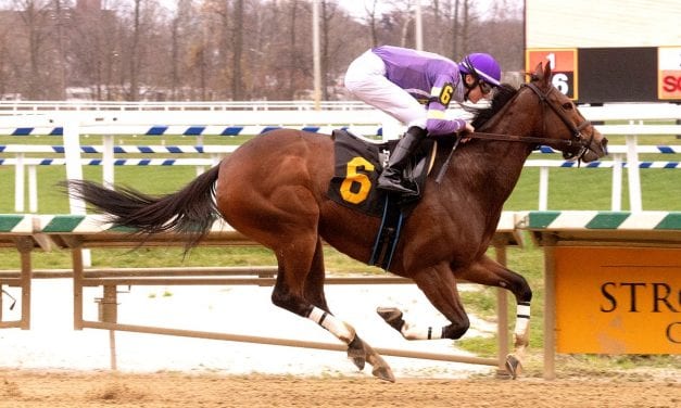 Malibu Mischief wins sixth straight