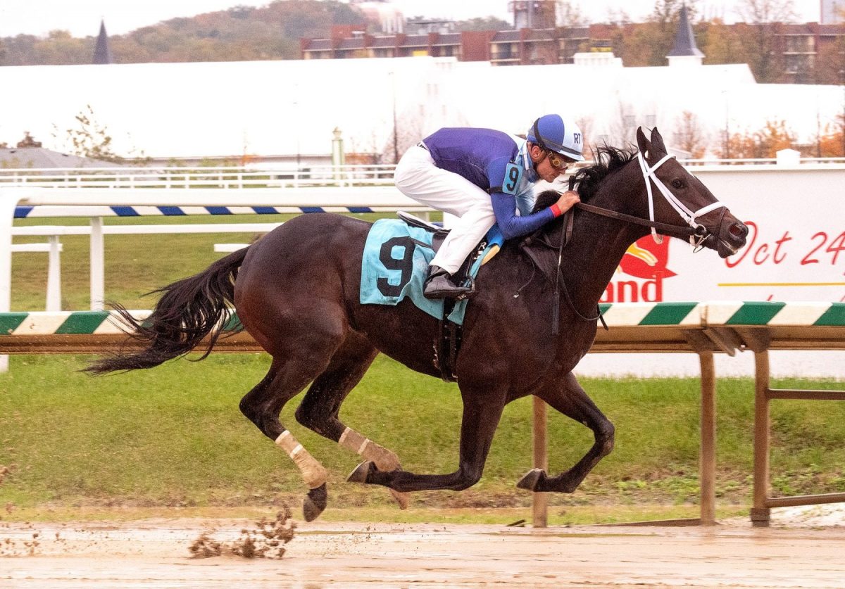 Out of Sorts broke her maiden in 2020 at Laurel Park. Photo by Jim McCue, Maryland Jockey Club.