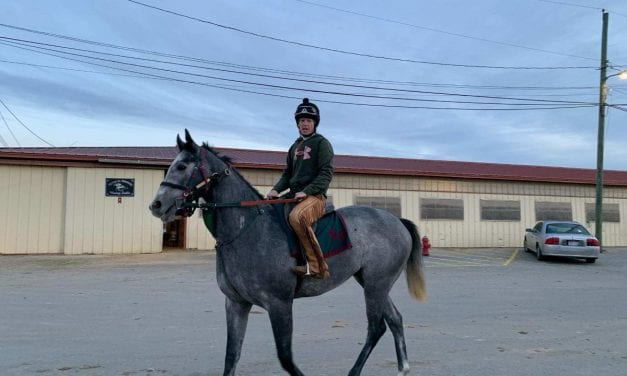 Kristy Petty: 2yo Juba geldings “making me look good”