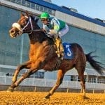 Street Lute rides rail to Smart Halo win
