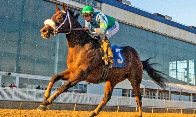 No Cents cashes in in James F. Lewis III Stakes