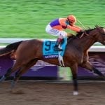 Midlantic equine fatalities down in 2020