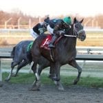 Contentious group set for A Huevo