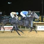 Laurel Park picks and ponderings December 13, 2020
