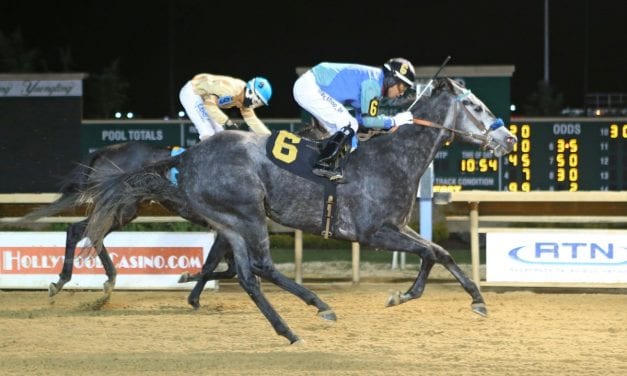 Star of Night wins My Sister Pearl thriller