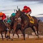 Parx: Keith Jones calls final race