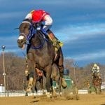 Laki seeking 8th stakes win in Challedon