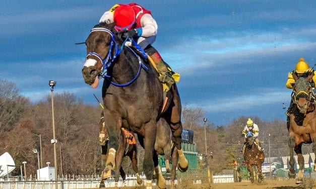 Harpers First Ride seeks to defend Deputed Testamony title