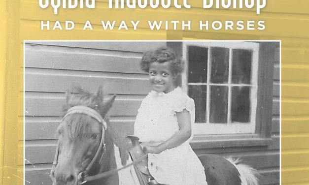Sylvia Bishop’s way with horses