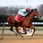 Jock Carol Cedeno gets 1,000th win