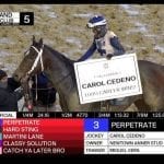 Laurel Park picks and ponderings January 2, 2021