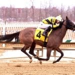 Laurel Park picks and ponderings February 27, 2021