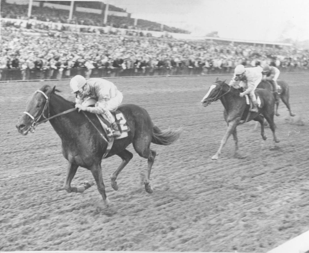 Memorable Moments: Carry Back's farewell * The Racing Biz