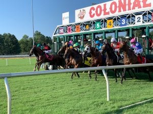 colonial downs starting gate