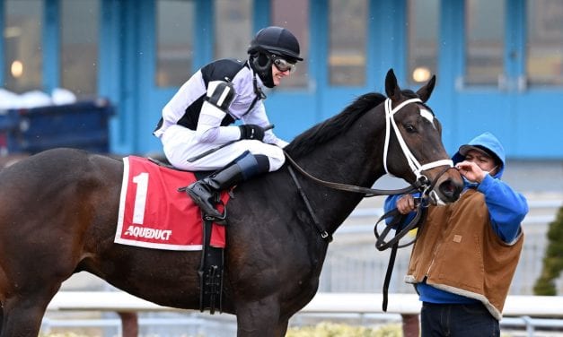 Maryland horses in NY state of mind