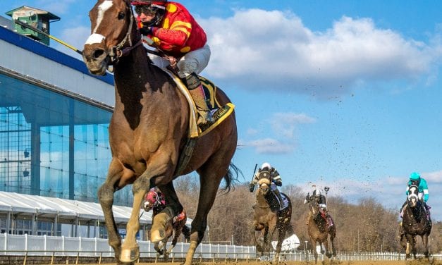 Laurel Park Winter: 10 stories that mattered