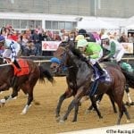 National Racing Compact to move to web licensing