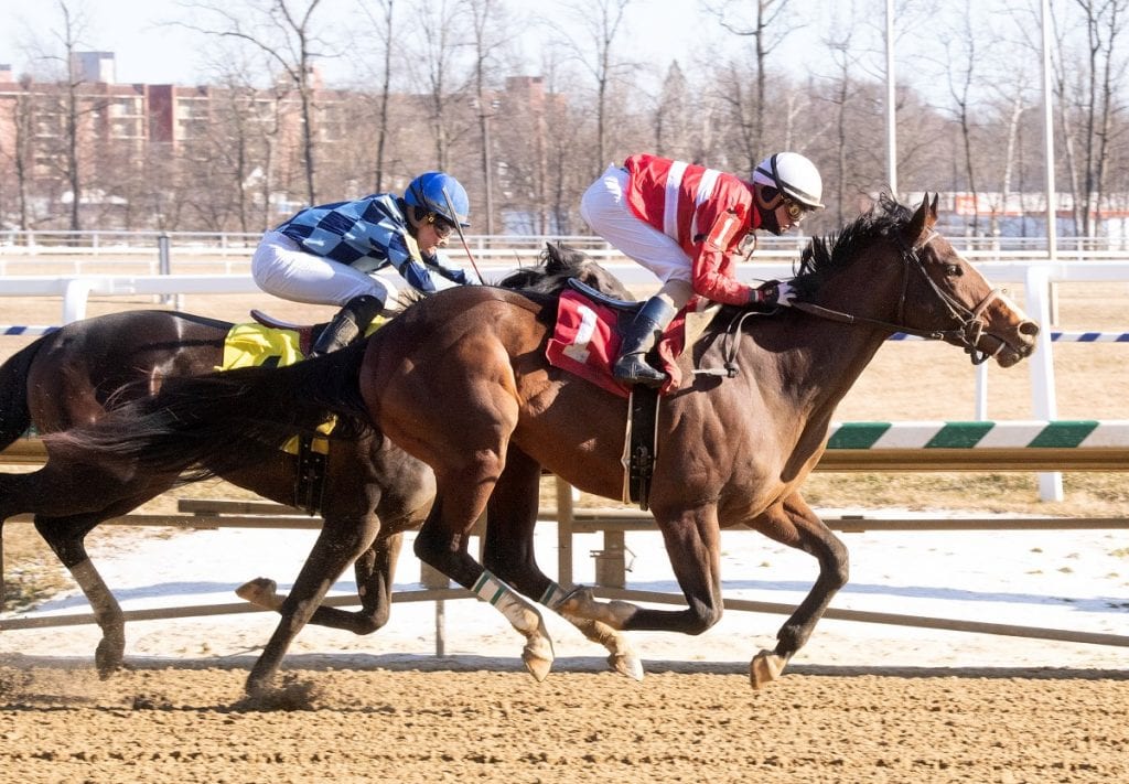 Exculpatory won at first asking at Laurel Park. Photo by Jim McCue, Maryland Jockey Club.