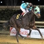 Street Lute gunning for 6th straight win