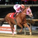 Maythehorsebwithu tunes up for Private Terms