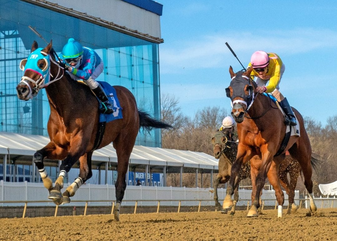 Tesio Stakes draws two dozen nominations * The Racing Biz