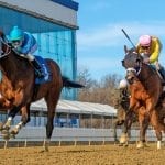 Life Is Good rising in NTRA Top Thoroughbred Poll