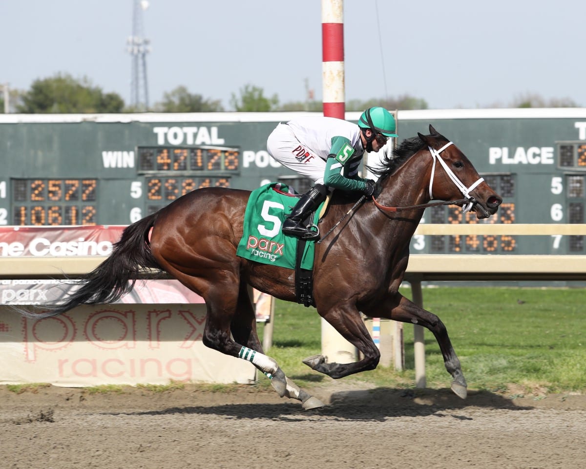 Chub Wagon romped to an easy win in the Unique Bella Stakes. Photo by Bill Denver/EQUI-PHOTO.