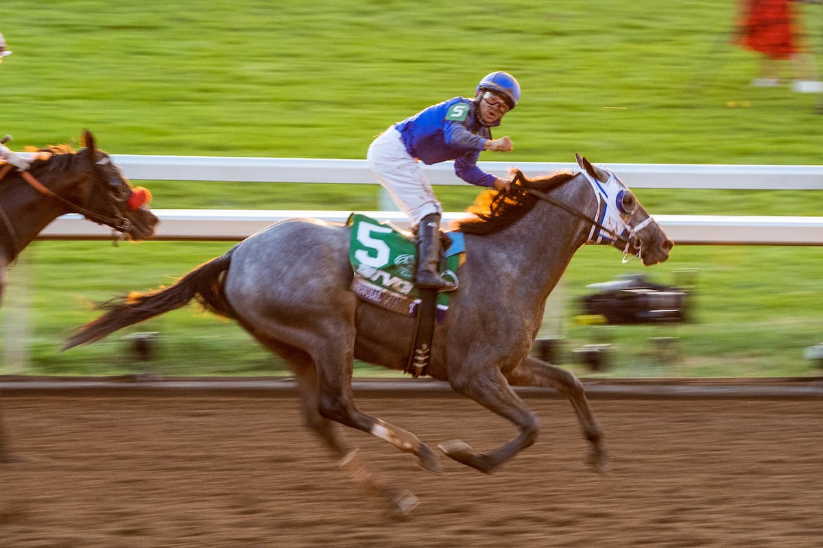 updated kentucky derby odds updated kentucky derby odds