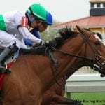Pimlico picks and ponderings April 25, 2021