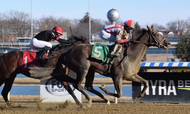 Preakness: NY trio has final breezes