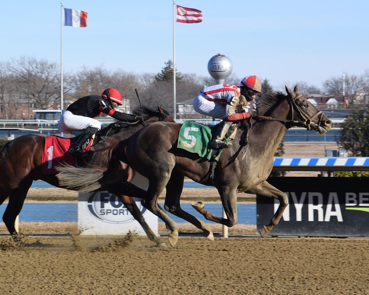 Crowded Trade needs Preakness "step up" * The Racing Biz