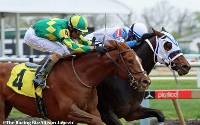 Locals set for big swing in Pimlico Special