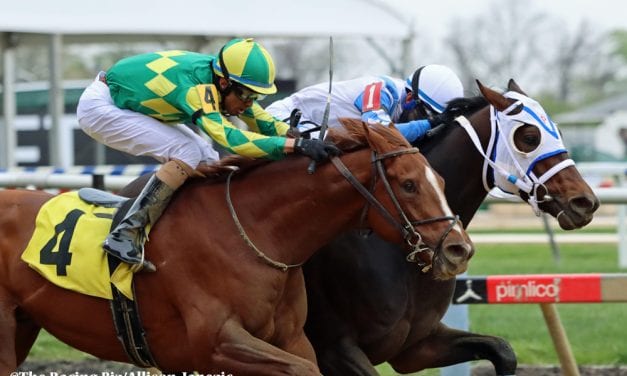 Locals set for big swing in Pimlico Special