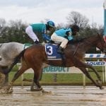 Laurel Park picks and ponderings Apr 11, 2021