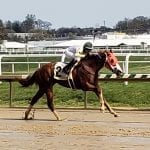 VEA: Thoroughbred jobs returning to Virginia