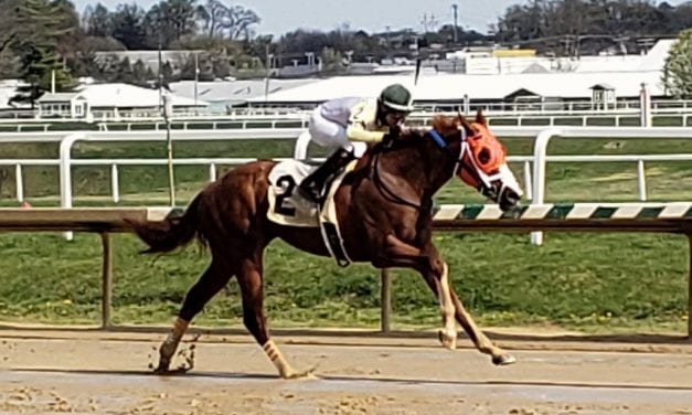 Laurel: Farrior hoping patience pays off in Hemp