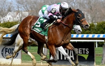Horologist returns a winner in Top Flight