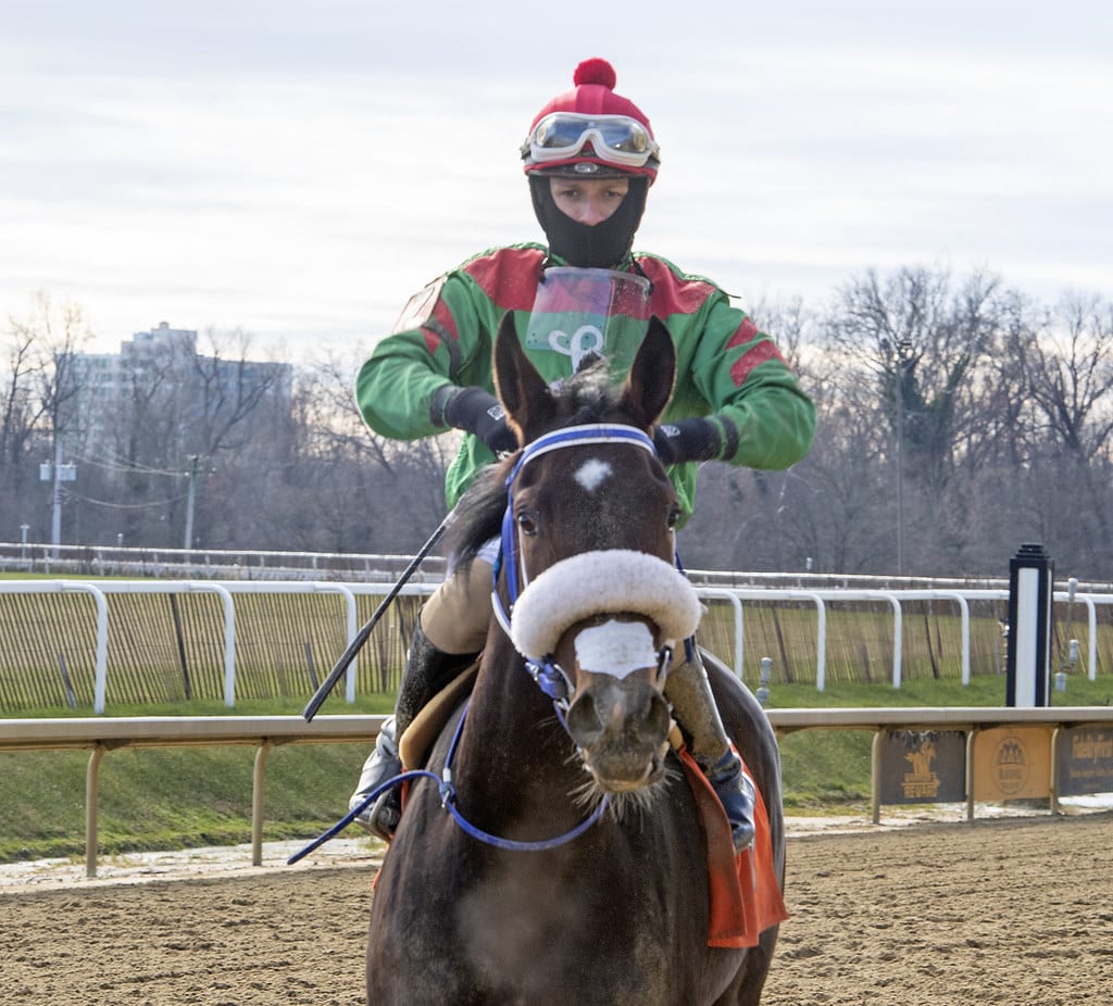 Miss Leslie won the 2020 Anne Arundel County Stakes. Photo by Jerry Dzierwinski.