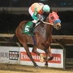 BackTracks: Market Wise, long-distance star