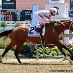Our experts pick the Preakness