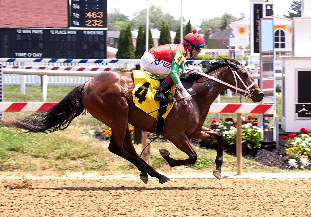 Bandits Warrior won at first asking at Pimlico. Photo by Jim McCue, Maryland Jockey Club.