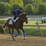 Preakness Profile: Midnight Bourbon