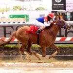 Charles Town picks and analysis: May 8