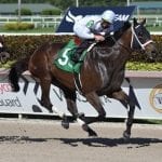 Globetrotting France Go de Ina hoping Preakness a perfect fit