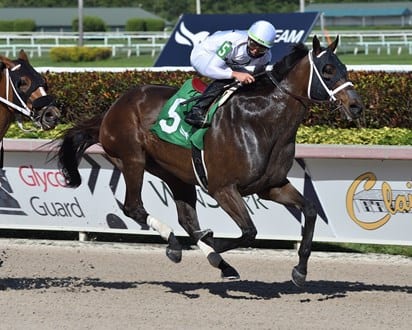 Fearless tops Pimlico Special field