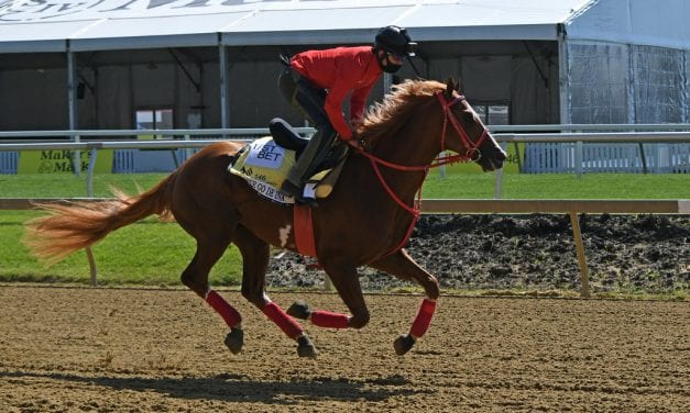 Globetrotting France Go de Ina hoping Preakness a perfect fit