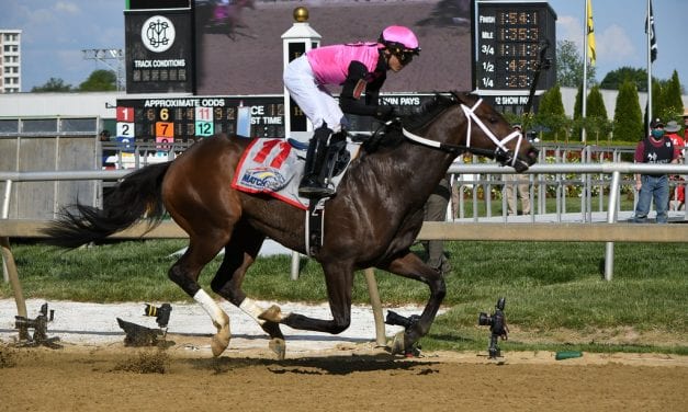 Last Judgment dominates in Pimlico Special