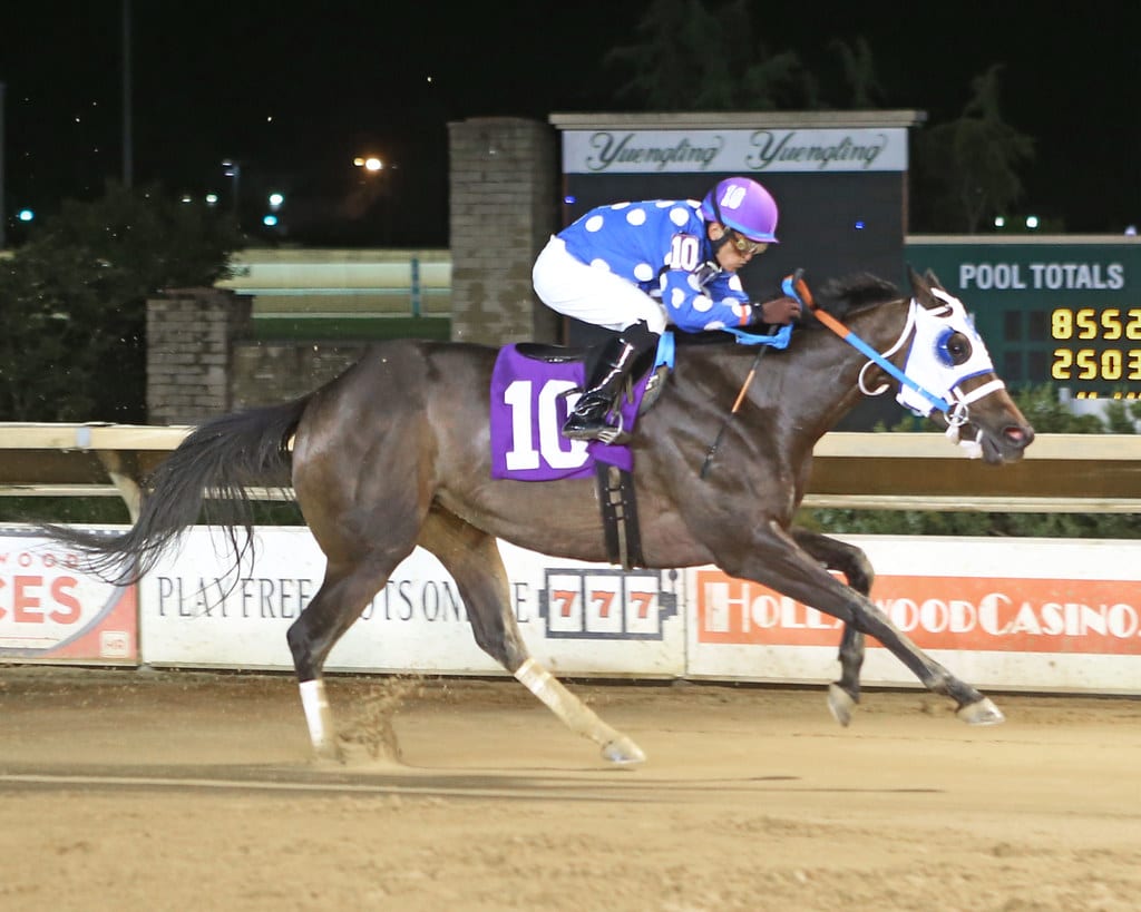 Our Diamond Girl won the Fancy Buckles Stakes. Photo by Coady Photography.