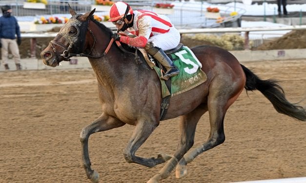 Risk Taking added to Preakness fray