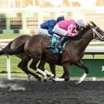 Army Wife powers home in Black-Eyed Susan